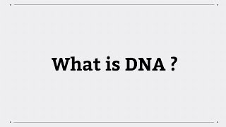 What is DNA [upl. by Helli]