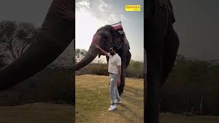 Armaan Malik And Payal Malik Enjoying With Elephant armaanmalik payalmalik [upl. by Nothgierc914]