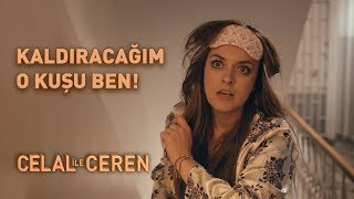 Kaldıracağım O Kuşu Ben  Celal İle Ceren [upl. by Tiphani]