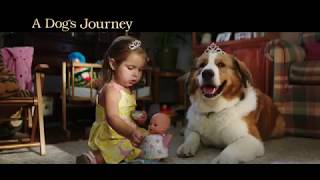 Dog Saves Girl While Moms on the Phone  A Dogs Journey  movie film [upl. by Diandra124]