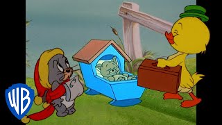 Tom amp Jerry  Cutest Characters in Tom and Jerry  Classic Cartoon Compilation  wbkids​ [upl. by Alemrac]