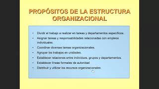 11 Estructura Funcional de Hospitales y Categorización [upl. by Abott861]