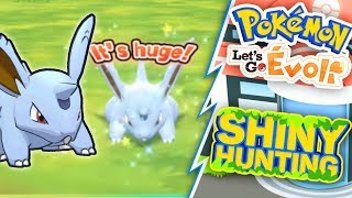 SHASSE NIDORAN SHINY AVEC LA NOUVELLE METHODE SUR POKEMON LETS GO PIKACHU ET EVOLI [upl. by Yelahc]