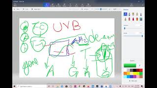 Cancer Biology and Pathology of Neoplasia Part 01 [upl. by Allix]