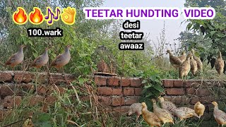 teetar ka awaaz shikar wale  best tarika teetar shikar awaaz  new Teetar video  francolin call [upl. by Cindie700]