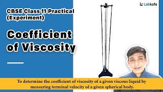 Coefficient Of Viscosity Experiment for Class 11 Practical [upl. by Leah]