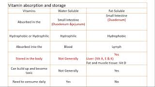 Classification of Water Soluble Vitamins Fat Soluble Vitamins amp Minerals by DR LALITHA GOWDA [upl. by Valonia]