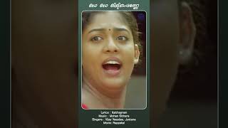 Kadha Kadha Kilippenne  Rappakal mammootty shortsfeed shortsvideo reels malayalamfilmsongs [upl. by Ayotna202]