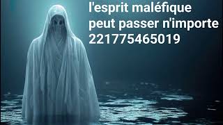 GRAND MARABOUT DAFRIQUE THIERNO AMADOU GUEYE DÉTRUIT lesprit maléfique qui perturbe la vie [upl. by Adnomar151]