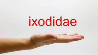 How to Pronounce ixodidae  American English [upl. by Aicert]