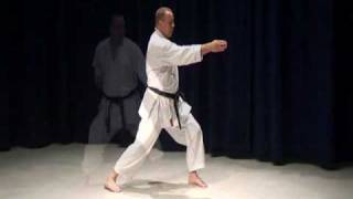 Shotokan Kihon 5 Basic Combinations Of Karate Shotokan Techniques [upl. by Naols]