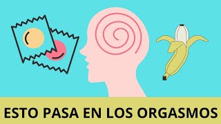 LA PSICOLOGIA DEL ORGASMO [upl. by Mushro]