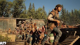 Fighting With Zombies Horde  DAYS GONE  gameplay 29 [upl. by Ebanreb]