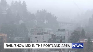 Live cams Snow falling in Portland area [upl. by Rehm]