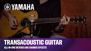 Yamaha  TransAcoustic Guitar  AllinOne Reverb and Chorus Effects [upl. by Cyn]