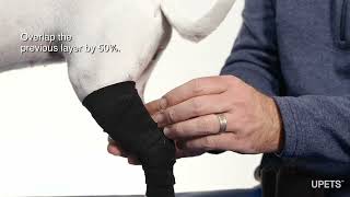 UPETS Application Unitex Padded Bandage Pelvic Limb [upl. by Ayortal]