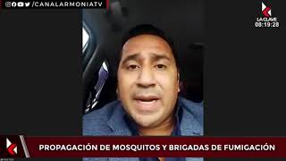 ¿VERRUGA PERUANA EN GUAYAQUIL  BRIGADAS DE CONTROL ANTIMOSQUITOS EN GUAYAQUIL  OMAR TOVAR [upl. by Del]