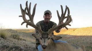 283quot Monster Mule Deer from Arizona  MossBack [upl. by Alanna]