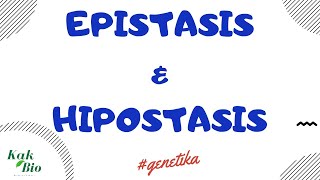 Persilangan Epistasis amp Hipostasis  Penyimpangan Hukum Mendell [upl. by Legnaros519]