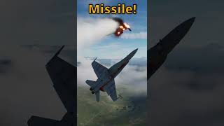 Killed From Beyond the Grave dcs simulation fighterjet [upl. by Patton699]