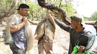 Increíble Donde Encontramos Estos Mounstros De Tilapias  Pesca Y Cocina [upl. by Nort]