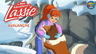 The New Adventures of Lassie  Avalance  Cartoon Series  PowerKidsWorld [upl. by Yevreh]