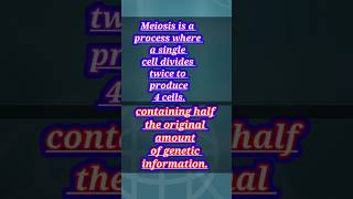 cell division meiosis cell sciencecompetition neet sciencefacts shortsfeed zoology ytshorts [upl. by Analise898]