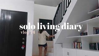 VLOG 74  mini haul  regular day at home [upl. by Nitnilc194]