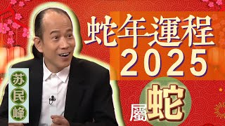 【蛇】蘇民峰讲解2025 蛇年生肖運程 [upl. by Sabelle]