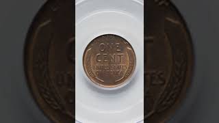 A 600 1927 Wheat Cent DDO coin coinage penny [upl. by Eihcir]