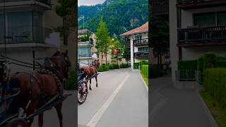 🇨🇭Beautiful evening walk in the breathtaking municipality of Unterseen  Bern  Switzerland🇨🇭 [upl. by Anderea]