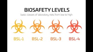 biosafety levels 1 2 3 4  laboratory safety levels [upl. by Atikim]