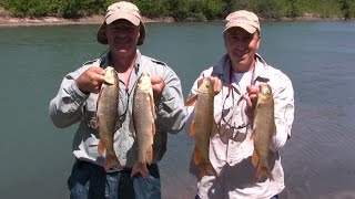 Boatless Angler  Tips on Catching Suckers from Shore  Excellent Catfish Bait [upl. by Pudens508]