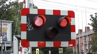 Level Crossing  Lansdowne Road Station Dublin [upl. by Yggep102]