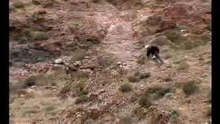 2006 Bootleg Canyon DH MTB race [upl. by Schumer]