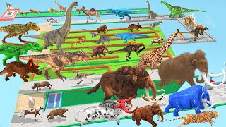 Which Animal vs Dinosaurs Speed Race Run Zigzag Maze Course from Outside Animal Revolt Battle Simul [upl. by Marlette]