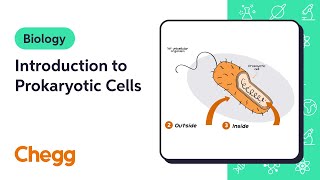 Introduction to Prokaryotic Cells  Biology [upl. by Petunia]