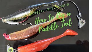 How to rig a paddle tail lure for fishing in Saltwater [upl. by Simonsen887]