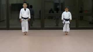 JKA Mahiro amp Masaki practice Heian shodangodan and Tekki shodan part 1 [upl. by Tnias]