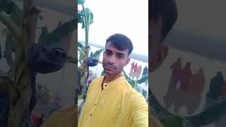 Uge Suraj Mal nayio na dole song bhojpuri chhat geet maithili [upl. by Tnecnivleahcim]