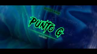 Punto G Remix  QuevedoPD  RODRY RMX [upl. by Eniamahs541]