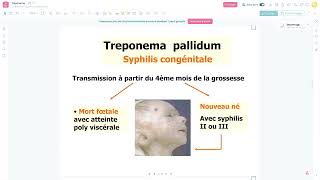 Bacteriologie  Le Treponema Pallidum Syphilis FMPC [upl. by Tare905]