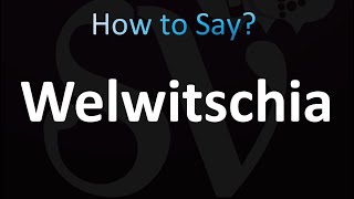 How to Pronounce Welwitschia correctly [upl. by Laohcin]