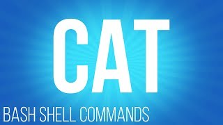 BASH Shell commands cat  commands for linux [upl. by Bauer]