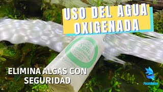 CÓMO usar AGUA OXIGENADA en ACUARIO  Remedio ANTIALGAS [upl. by Eenaffit488]