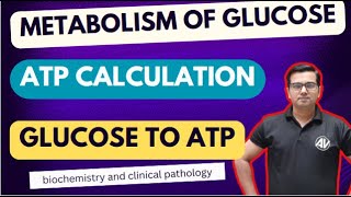 ATP produce from 1 molecule of Glucose Glycolysis Krebs cycle [upl. by Flessel]