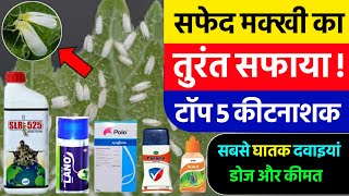 सफेद मक्खी के लिए 5 सबसे घातक कीटनाशक  white fly control  Top 5 Insecticide  Kapas ki Kheti [upl. by Eittik637]