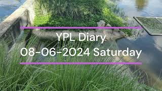 YPL Diary 08 06 2024 Saturday Yelahanka Puttenahalli Lake Bengaluru India [upl. by Ahtnama]