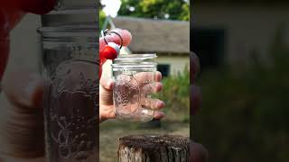 Naturally Carbonated Wild Fermented Watermelon Soda [upl. by Myrlene]