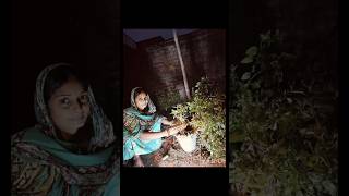 Tulsi Vivah Badhai Geetvideo viral video sangitavlogs7 [upl. by Tartan]